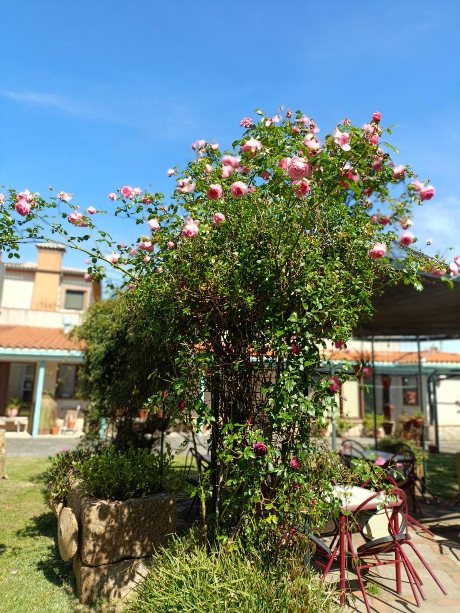 מלפרטידה דה פלסנסיה Casa Rural Del Corral מראה חיצוני תמונה