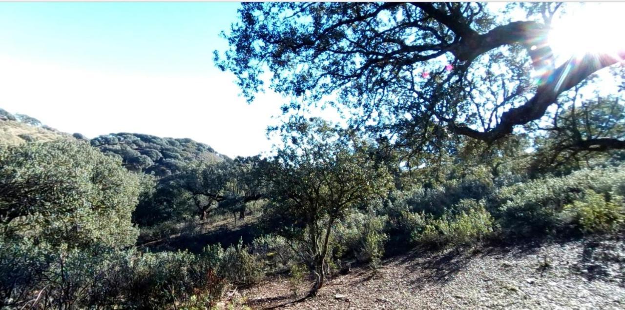 מלפרטידה דה פלסנסיה Casa Rural Del Corral מראה חיצוני תמונה